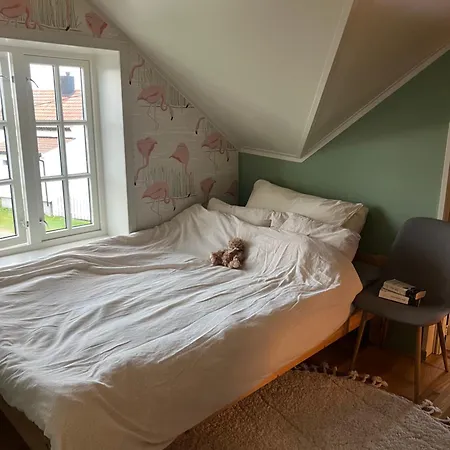 Lovely Little Northern House 度假居 Andoya