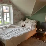 Lovely Little Northern House 펜션 안데네스